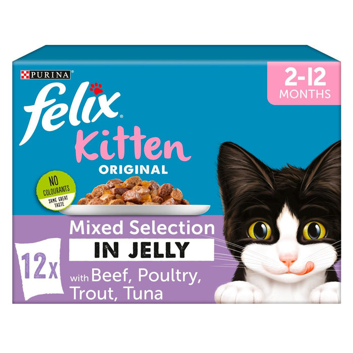Felix Kitten Cat Food mezclado en gelatina 12 x 100g