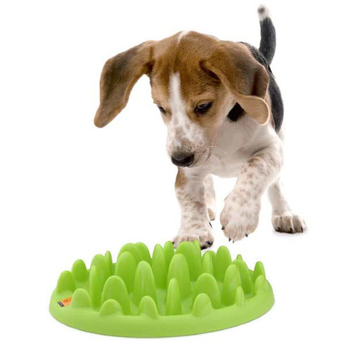Mini alimentador de perros lento verde