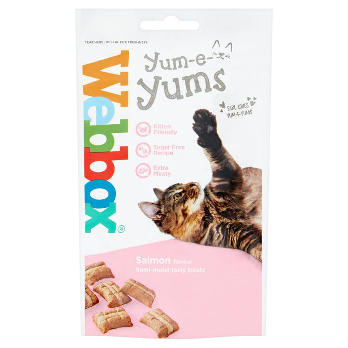 Webbox Yum e Yums Salmon Cat Treats 40g
