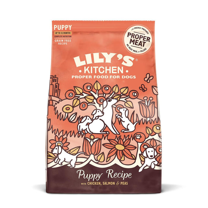 Lily's Kitchen Dog Chicken & Salmon Puppy Receta de comida seca 1 kg